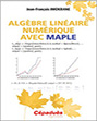 Algèbre Linéaire Numérique avec Maple