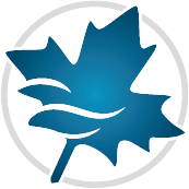 Maple Flow