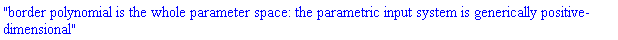 "border polynomial is the whole parameter space: the parametric input system is generically positive-dimensional"