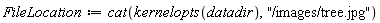 FileLocation := cat(kernelopts(datadir), "/images/tree.jpg")