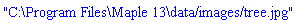 "C:\Program Files\Maple 13\data/images/tree.jpg"