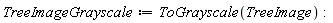 TreeImageGrayscale := ToGrayscale(TreeImage)
