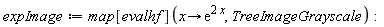 expImage := map[evalhf](proc (x) options operator, arrow; exp(2*x) end proc, TreeImageGrayscale)