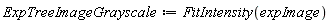 ExpTreeImageGrayscale := FitIntensity(expImage)
