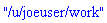 "/u/joeuser/work"