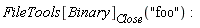 FileTools[Binary][Close]("foo")