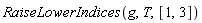 RaiseLowerIndices(g, T, [1, 3])