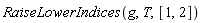 RaiseLowerIndices(g, T, [1, 2])