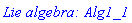 `Lie algebra: Alg1_1`