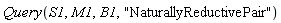 Query(S1, M1, B1, "NaturallyReductivePair")